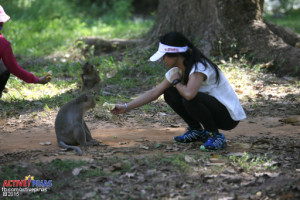 Yes, you can feed monkeys too!